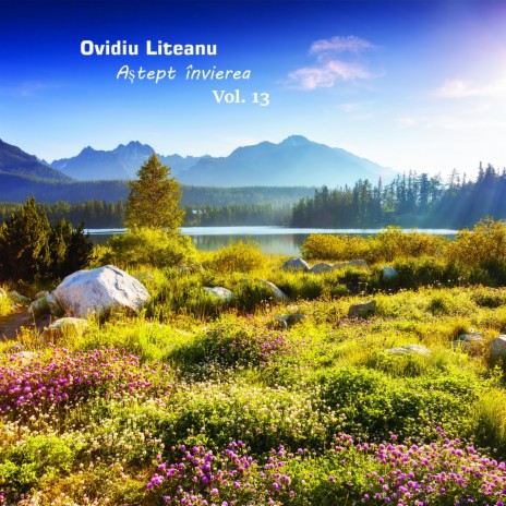 Evanghelistul cover art