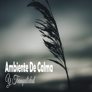 Ambiente De Calma Y Tranquilidad