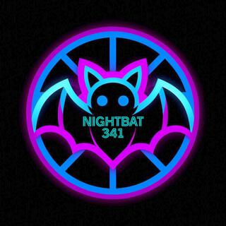NightBat341