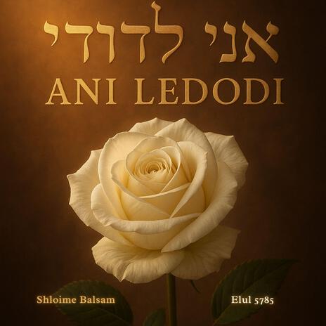 Ani Ledodi