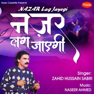 Zahid Hussain Sabri
