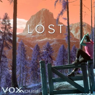 VOXmouse
