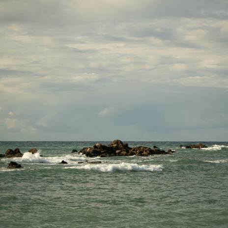 The Sea cover art