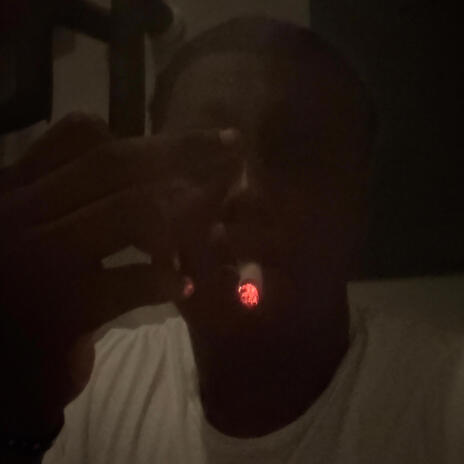 NO LULU 4 U cover art