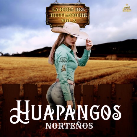 El Mariachi ft. Los Mejores Huapangos Norteños