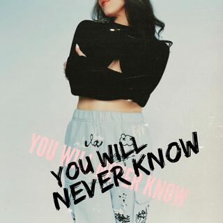 you will never know cover art