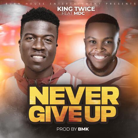 Never Give Up (feat. MDC ZM) cover art