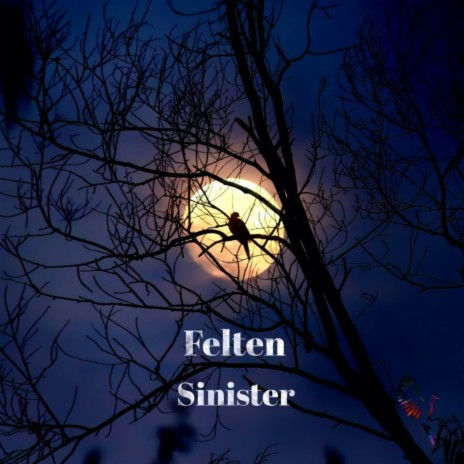 Sinister (Original Mix) cover art