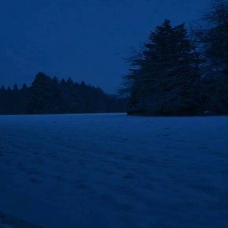 North cover art
