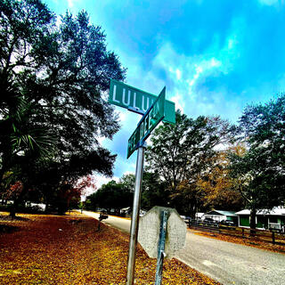 The Loop
