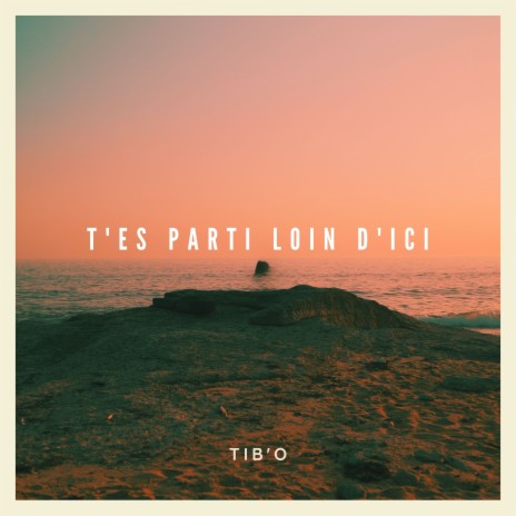 T'es parti loin d'ici (Instrumentale) cover art