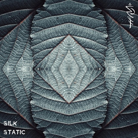 Nurture vs Nature (Silk Static Remix) ft. Silk Static cover art