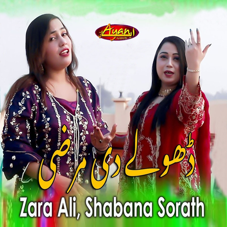 Dhole Di Marzi ft. Shabana Sorath cover art