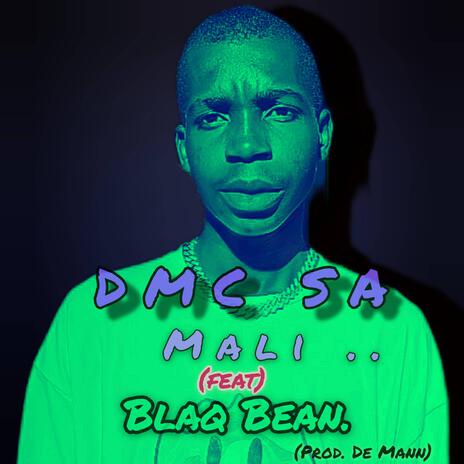 Mali. ft. DMC SA cover art