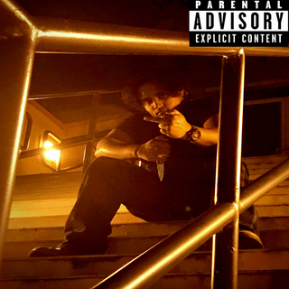 MI DIA cover art