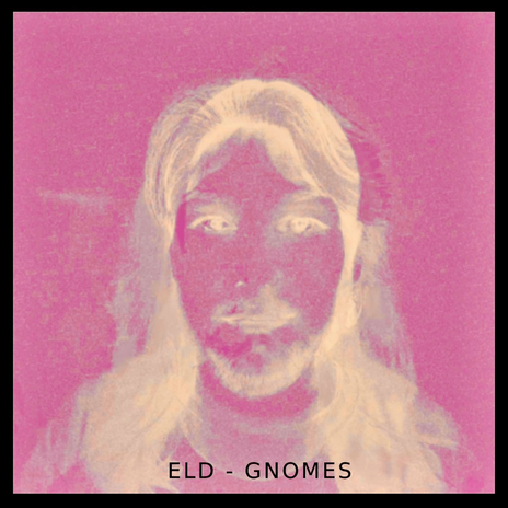 Gnomes cover art