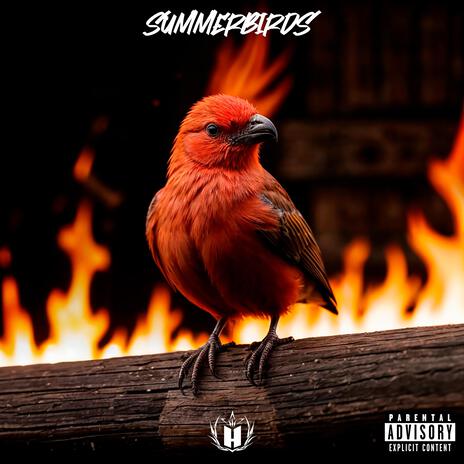 Summerbirds cover art