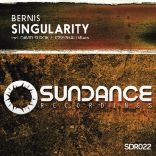 Singularity (David Surok Remix) cover art