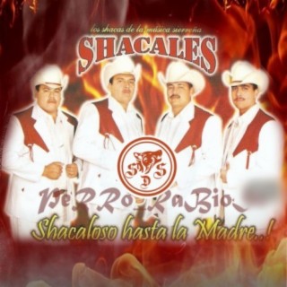 Shacaloso Hasta La Madre..!