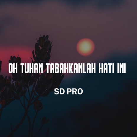 Oh Tuhan Tabahkanlah Hati Ini cover art