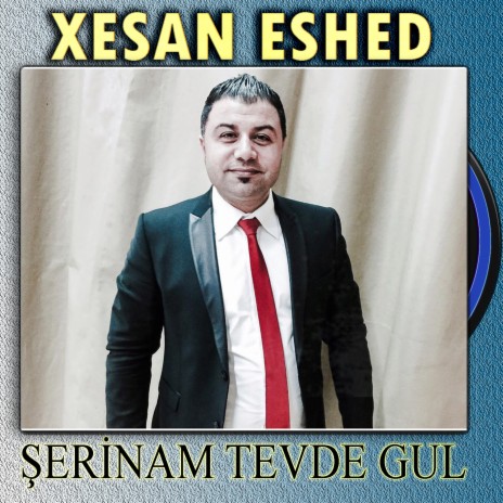 Serinam Tevde Gul cover art