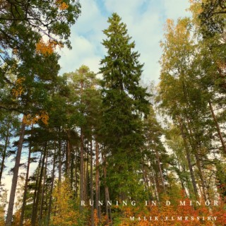 Running in D Minor cover art