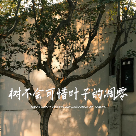 树不会可惜叶子的凋零 cover art