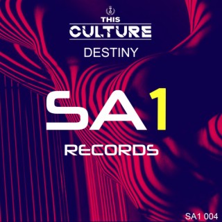 Destiny (Original Mix) cover art