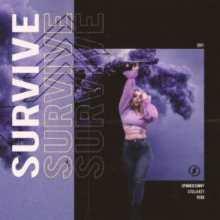 Spinner Sunny