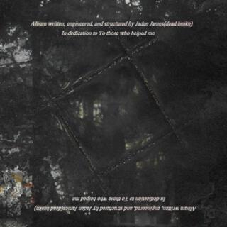 Willow cover art
