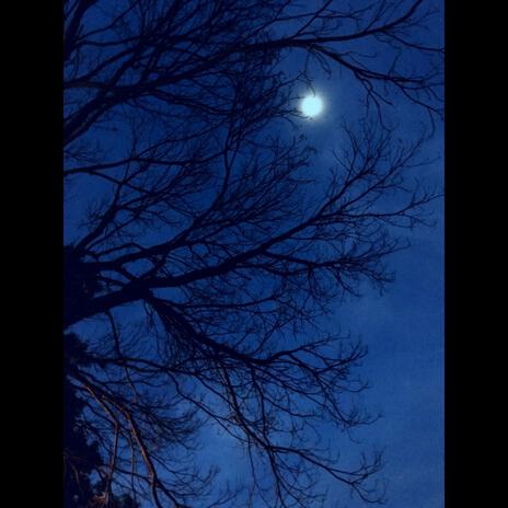 Moonlight In The Autumn ft. Koma Amed & Koohiar Peik cover art