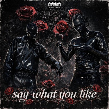 Say what you like ft. Dasity the great cover art
