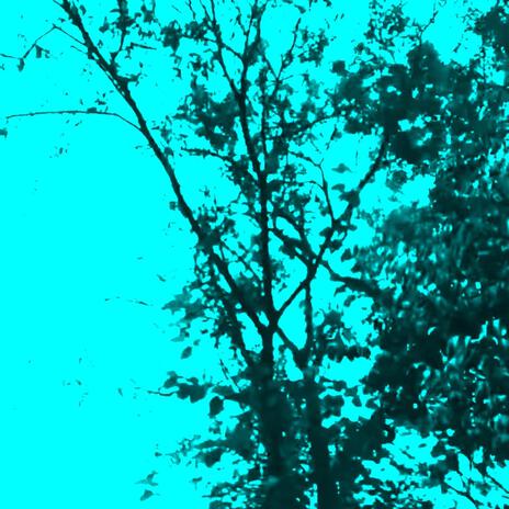 OBJECTIONS. (Slowed) cover art