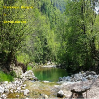 Sorridi alla vita cover art