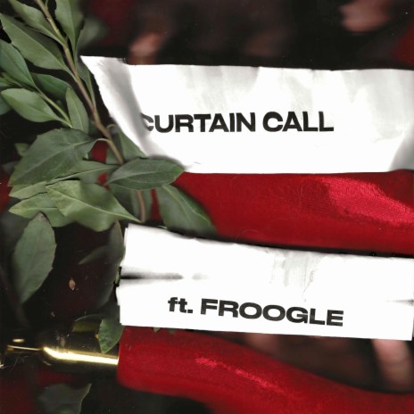 Curtain Call ft. Froogle cover art
