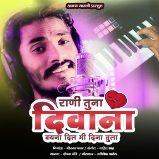 Rani Tuna Diwana Vhyna Dilmi Dinatula ft. Ajay Malche cover art