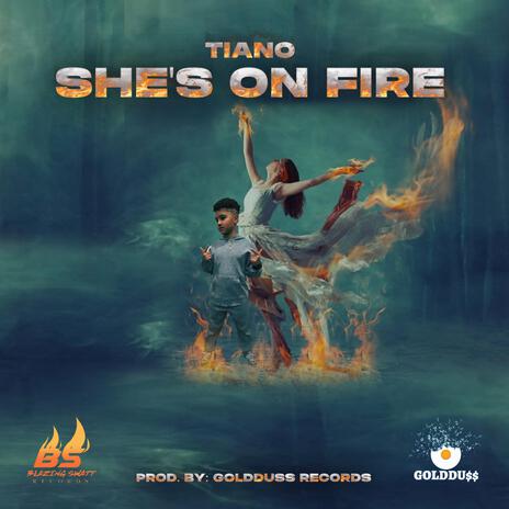 SHE'S ON FIRE (Radio Edit) cover art