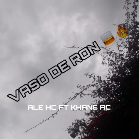 Vaso De Ron cover art