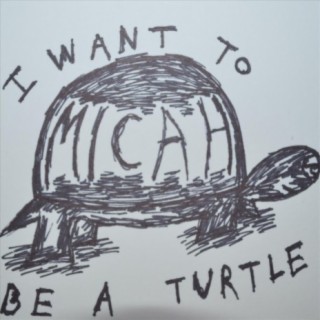 I Want to Be a Turtle