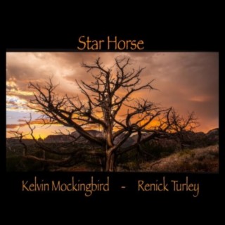 Kelvin Mockingbird