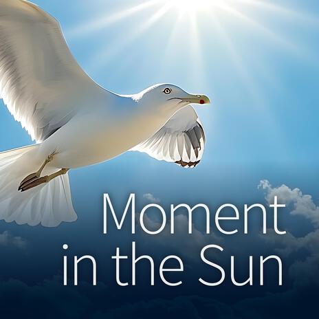 Moment In The Sun cover art