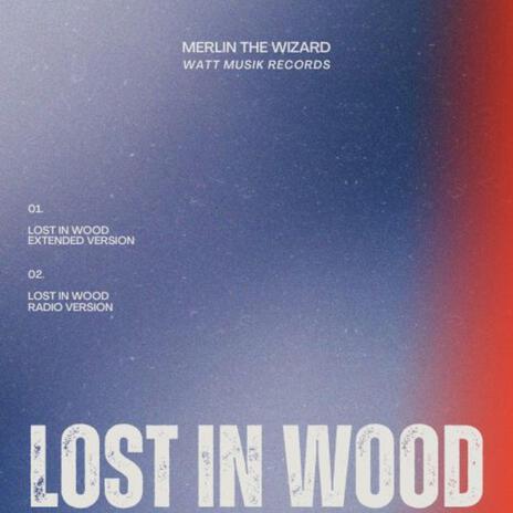 Lost in wood cover art