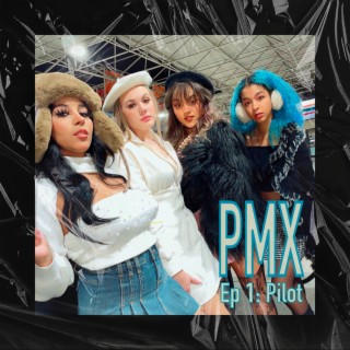 PMX