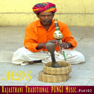 Rajasthani Traditional PUNGI Music, Pt. 02