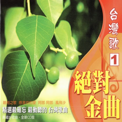真情免咒詛 cover art
