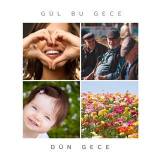 Gül Bu Gece cover art