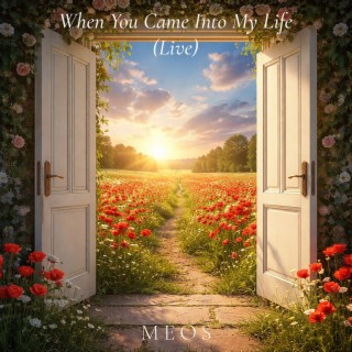 When You Came into My Life (Live) cover art
