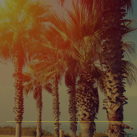 Lo Panti cover art