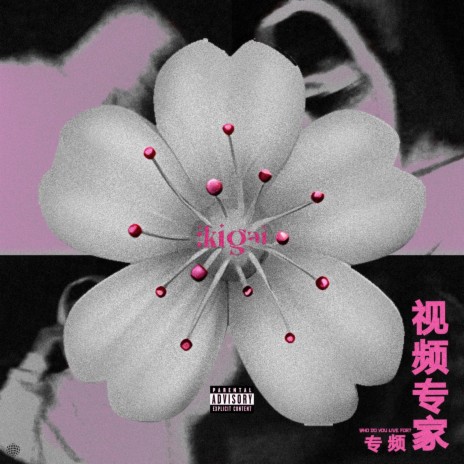 IKIGAI ft. Larkez cover art