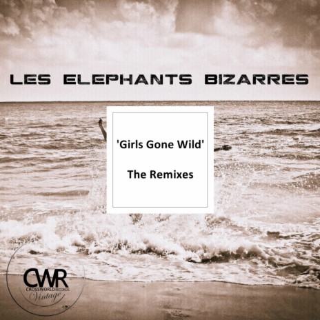 Girls Gone Wild (Gabriel Slick Remix)